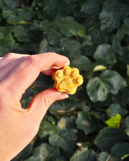 Little Bear Pet Treats - Single Biscuit