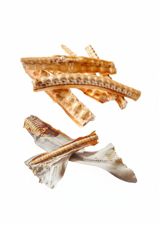 Shark Cartilage Dog Treats