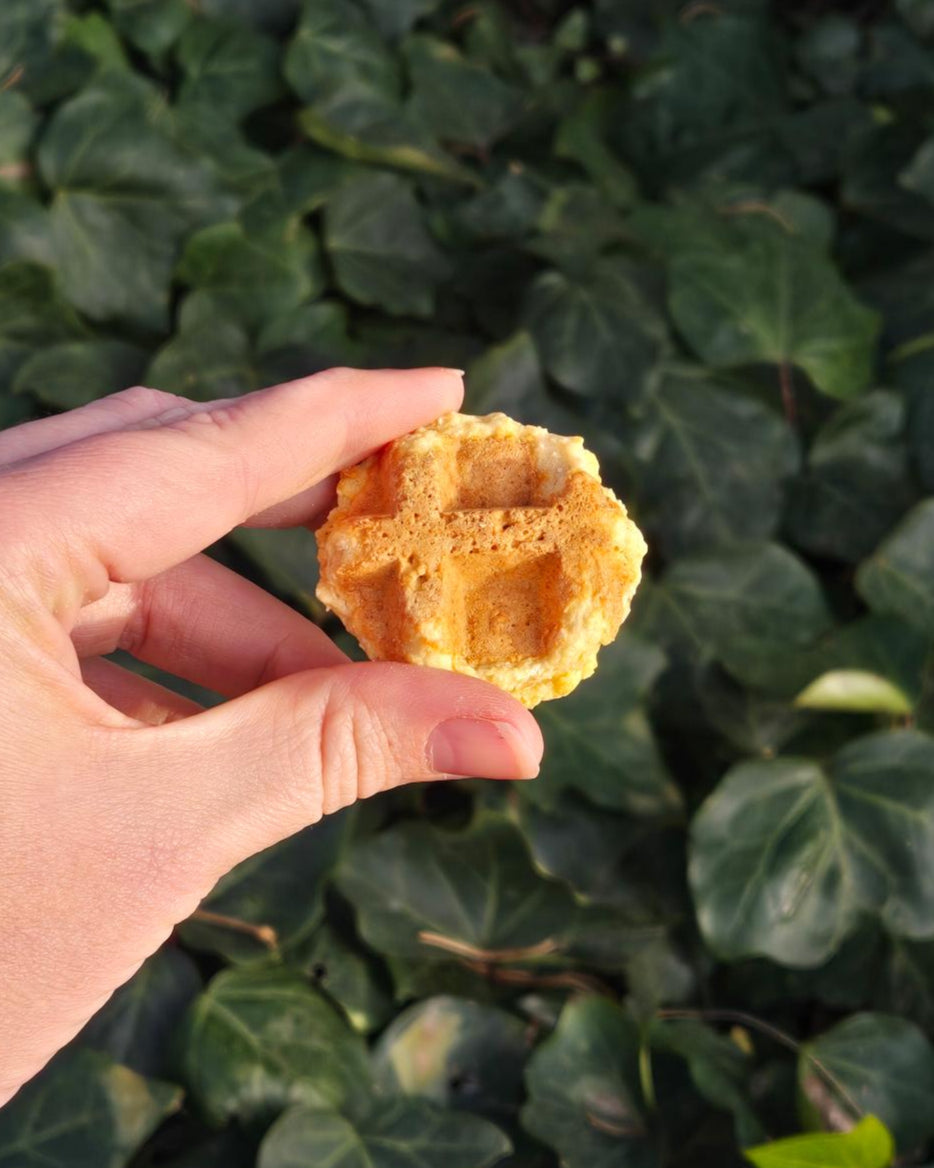 Little Bear Pet Treats - Apple & Cinnamon Waffles - Single