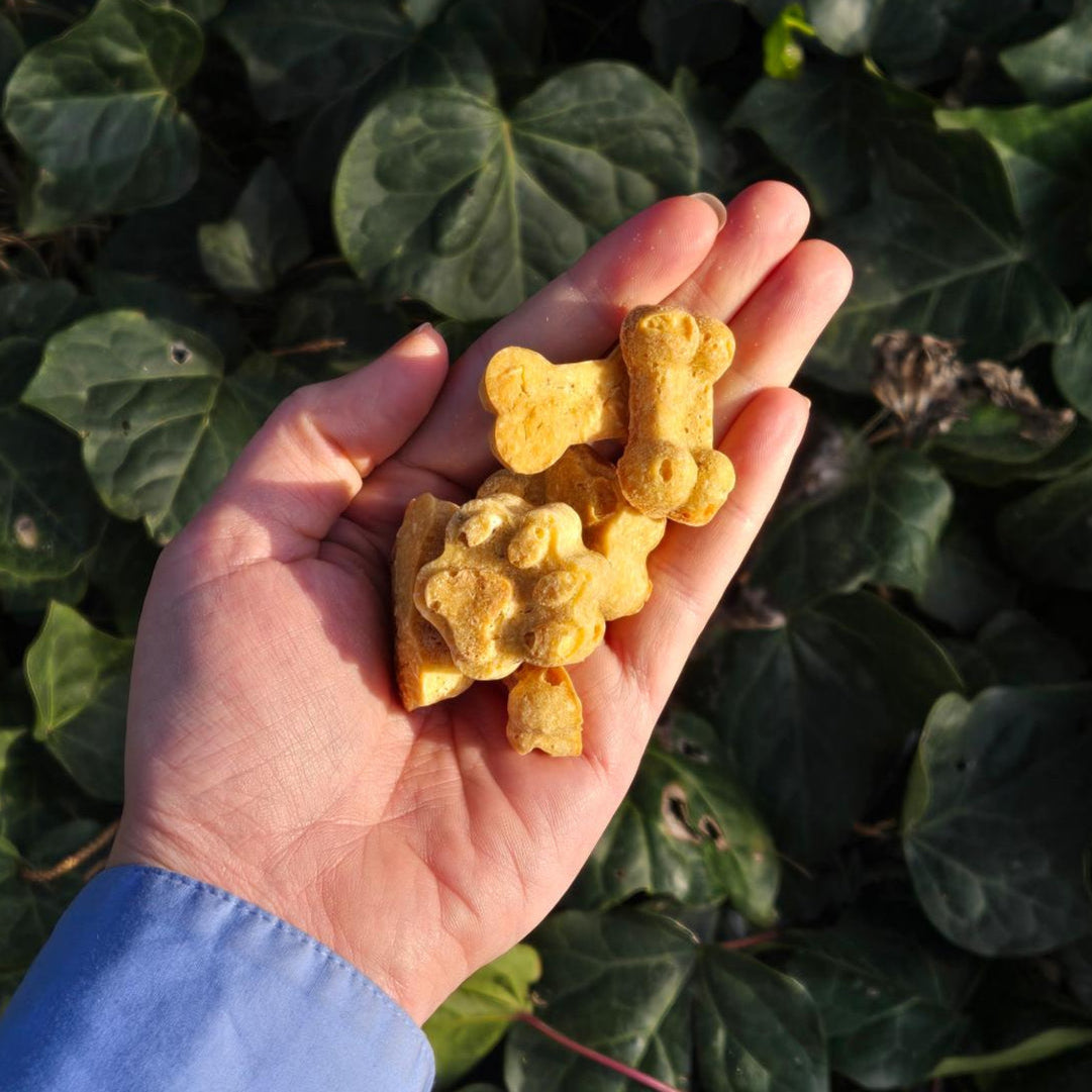 Little Bear Pet Treats Grain-free Biscuits